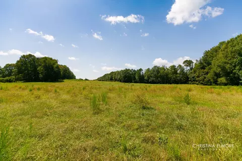 703 Five Points Rd, Milner, GA 30257 photo 54
