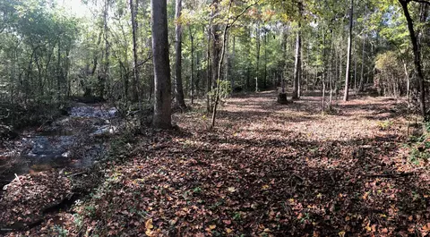 882 Smith Rd, Forsyth, GA 31029 photo 41