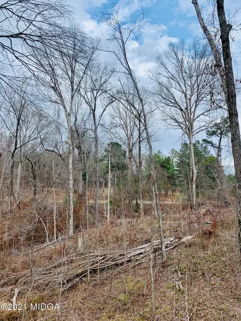 1294 Marion Rd, Macon, GA 31217 photo 12