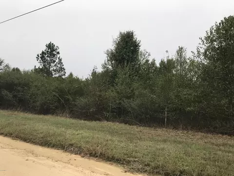 1230 Allen Rd, Macon, GA 31216 photo 1