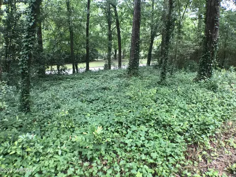 590 Eldorado Dr, Macon, GA 31204 photo 40