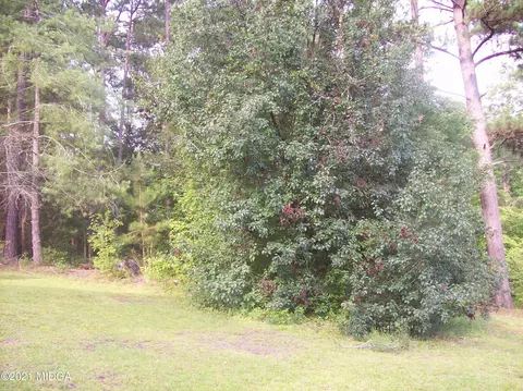 6221 Davis Rd, Macon, GA 31217 photo 28