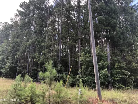 212 Strickland Loop, Forsyth, GA 31029 photo 6