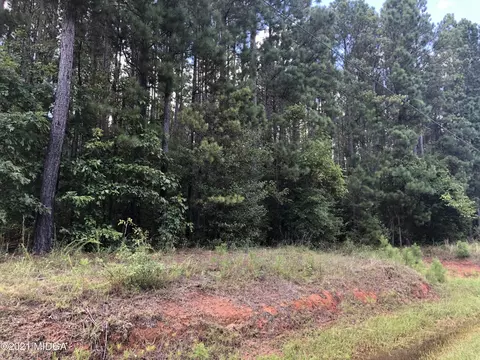 212 Strickland Loop, Forsyth, GA 31029 photo 4