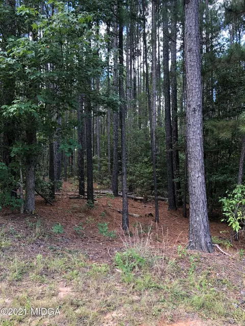 212 Strickland Loop, Forsyth, GA 31029 photo 9