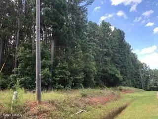 212 Strickland Loop, Forsyth, GA 31029 photo 5