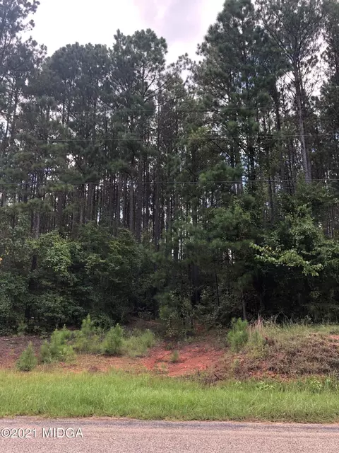 212 Strickland Loop, Forsyth, GA 31029 photo 8