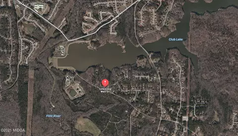 12703 Old Well Ct, Hampton, GA 30228 photo 2