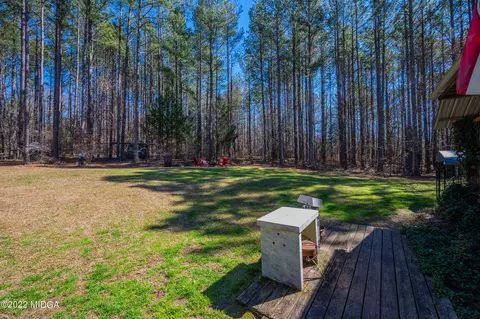 500 Gregory Rd, Forsyth, GA 31029 photo 46