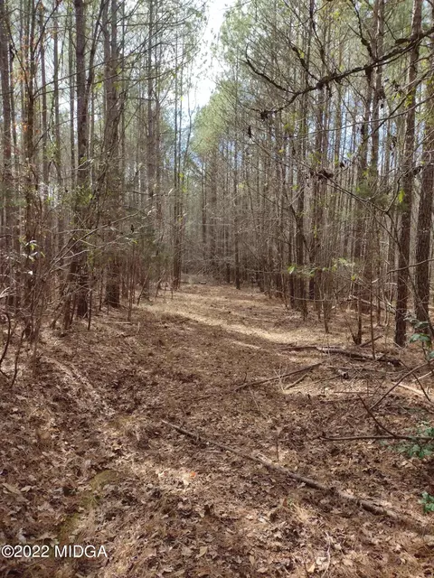 1156 Boxankle Rd, Forsyth, GA 31029 photo 1