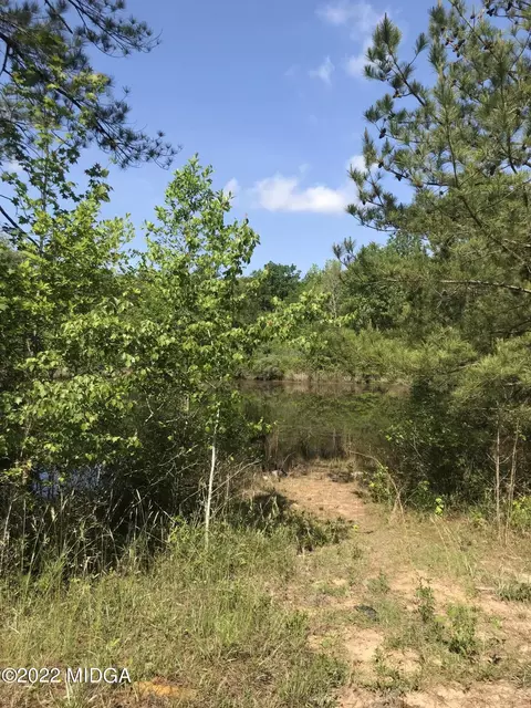 372 Kitchens Rd SW, Haddock, GA 31033 photo 3