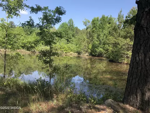 372 Kitchens Rd SW, Haddock, GA 31033 photo 5