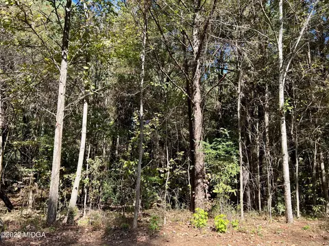 128 Greenview Ter, Macon, GA 31220 photo 2