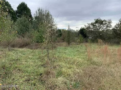 13784 Ricketts Rd, Hampton, GA 30228 photo 63