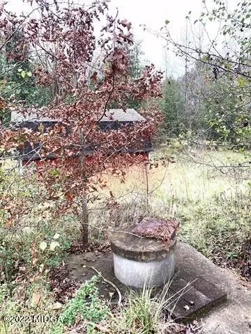 13784 Ricketts Rd, Hampton, GA 30228 photo 64
