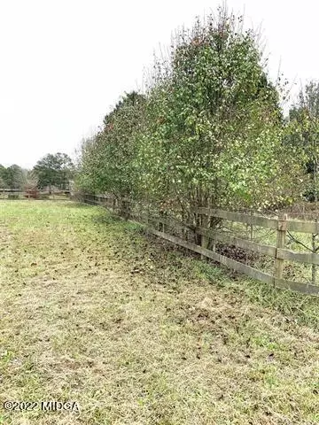 13784 Ricketts Rd, Hampton, GA 30228 photo 66