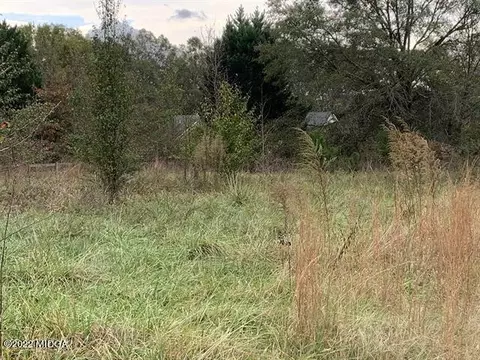 13784 Ricketts Rd, Hampton, GA 30228 photo 58