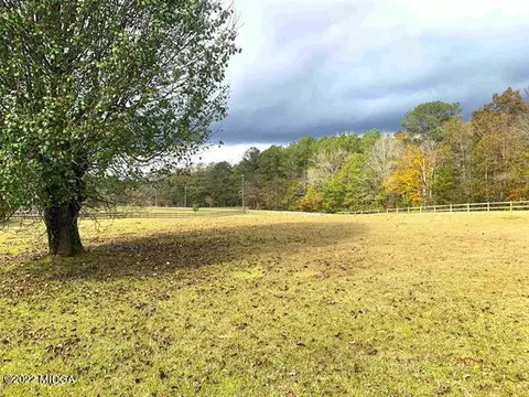13784 Ricketts Rd, Hampton, GA 30228 photo 65