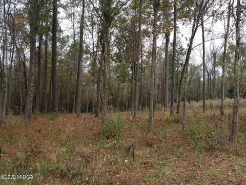 8450 Columbus Rd, Lizella, GA 31052