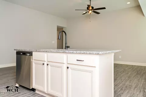 206 Red Tail Cir, Byron, GA 31008 photo 13