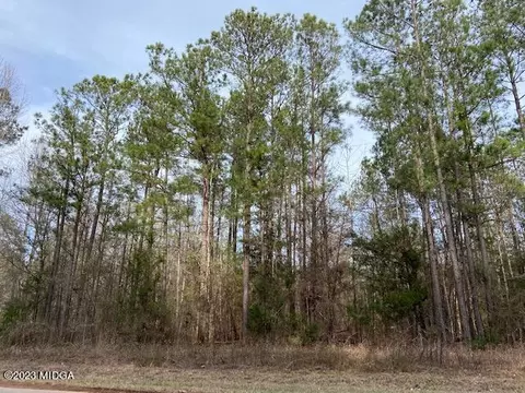 3314 Brownlee Rd, Forsyth, GA 31029 photo 3