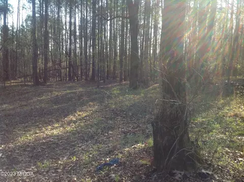 820 Nathan Roberts Rd, Gray, GA 31032 photo 3