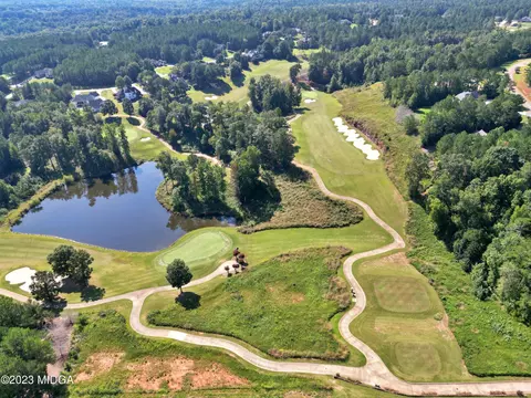 107 River Overlook, Forsyth, GA 31029 photo 49