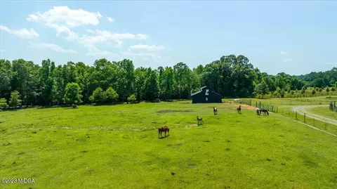333 Flint Rd, Forsyth, GA 31029 photo 33