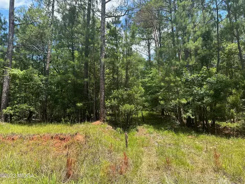 lot12 Horseshoe Dr, Sparta, GA 31087