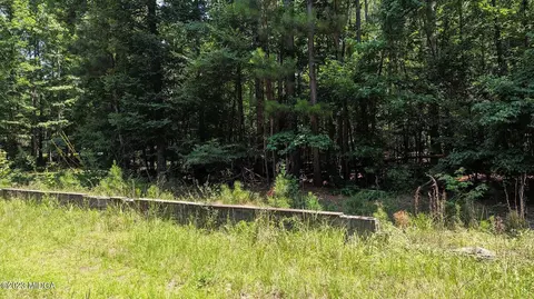 0 Blue Branch Rd E, Eatonton, GA 31024