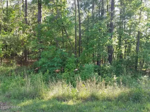 lot3 E Deer Ridge Pl, Gray, GA 31032 photo 2