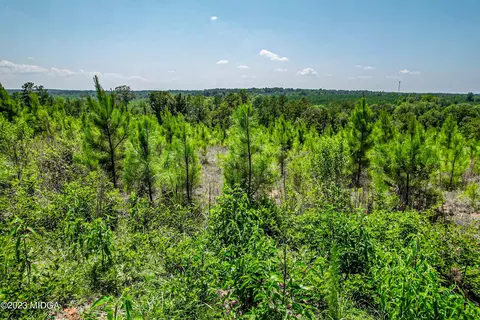 00 Mckay Rd, Gray, GA 31032 photo 5