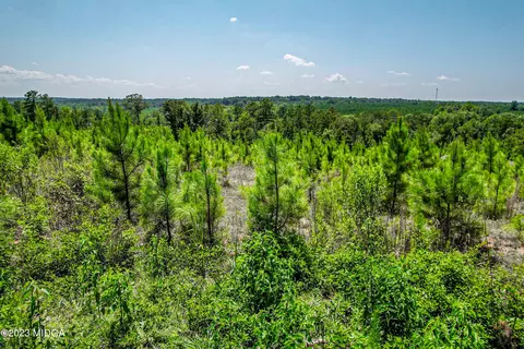 00 Mckay Rd, Gray, GA 31032 photo 4
