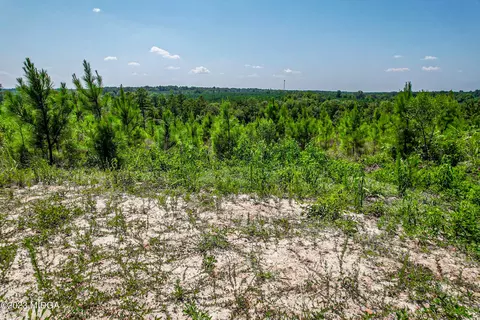 00 Mckay Rd, Gray, GA 31032 photo 6