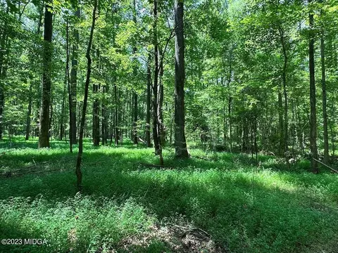 533 Giles Rd, Forsyth, GA 31029 photo 19