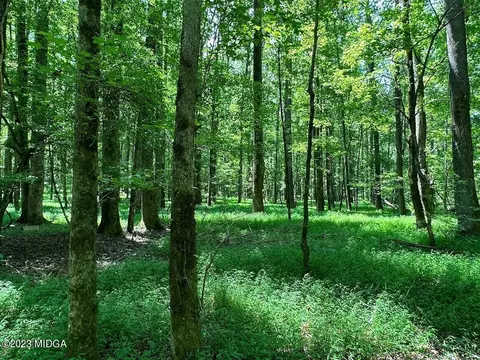 533 Giles Rd, Forsyth, GA 31029 photo 20