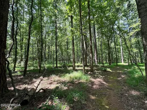 533 Giles Rd, Forsyth, GA 31029 photo 17