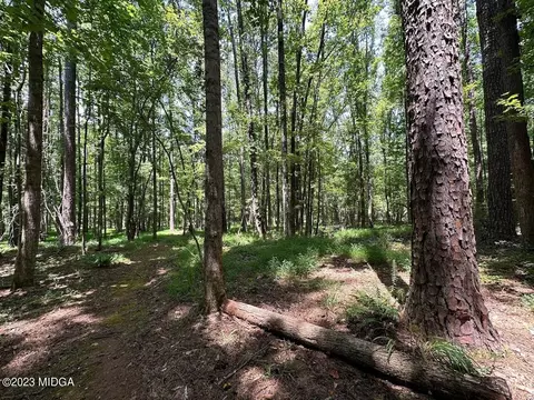 533 Giles Rd, Forsyth, GA 31029 photo 16