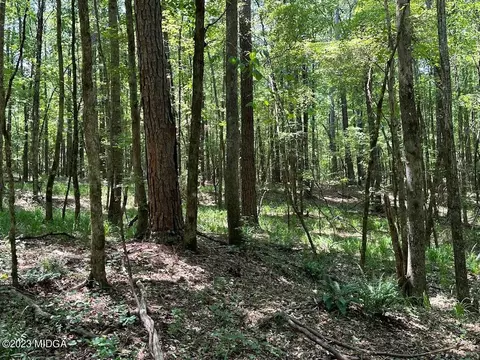533 Giles Rd, Forsyth, GA 31029 photo 13