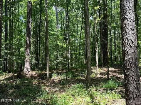 533 Giles Rd, Forsyth, GA 31029 photo 14