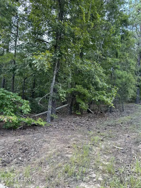 0 Old Macon Rd, Gordon, GA 31031 photo 5