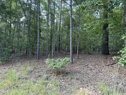 0 Old Macon Rd, Gordon, GA 31031 photo 7