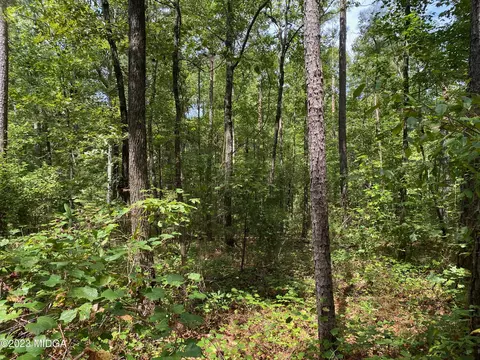 0 Happy Ln, Jackson, GA 30233 photo 2