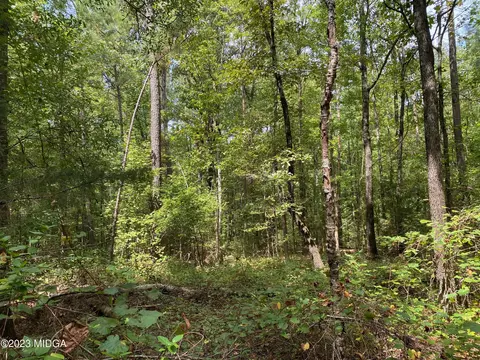 0 Happy Ln, Jackson, GA 30233 photo 3