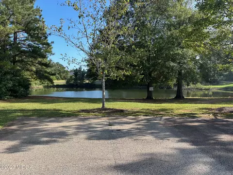440 Preakness Way, Forsyth, GA 31029 photo 48