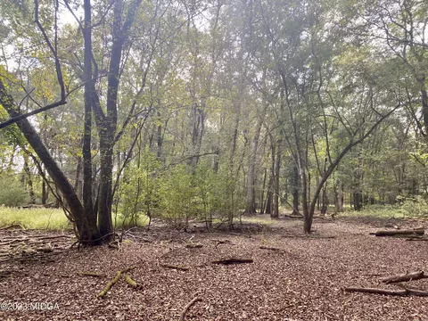 216 Orchard Rd, Perry, GA 31069 photo 10