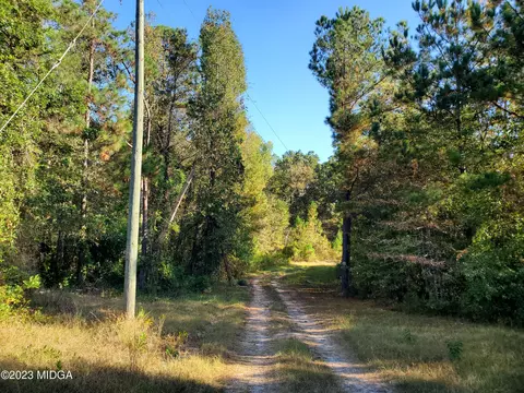 155 Cinnamon Ln, Roberta, GA 31078 photo 2