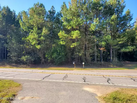 155 Cinnamon Ln, Roberta, GA 31078 photo 4