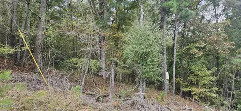 110 Silver Lake Ct, Macon, GA 31211