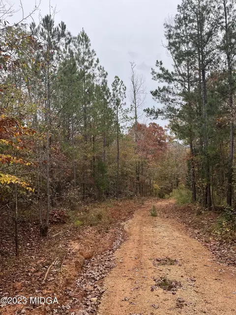 302 Goodwyne Rd, Forsyth, GA 31029